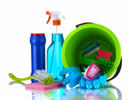 Carpet cleaning team using eco-conscious equipment in Clapham