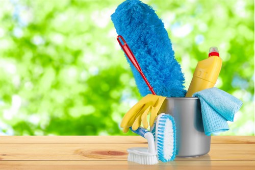 Professional carpet cleaning team in Clapham working on a clean home interior