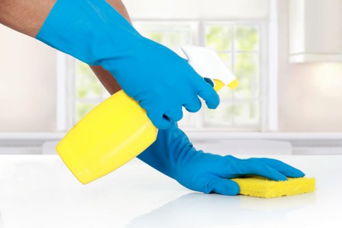 Streak-free window cleaning on a Clapham home with bright daylight