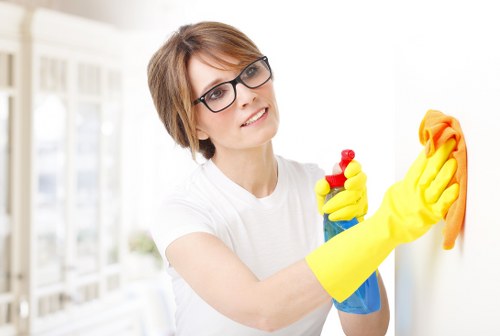 Professional cleaning removing dirt from carpet fibers