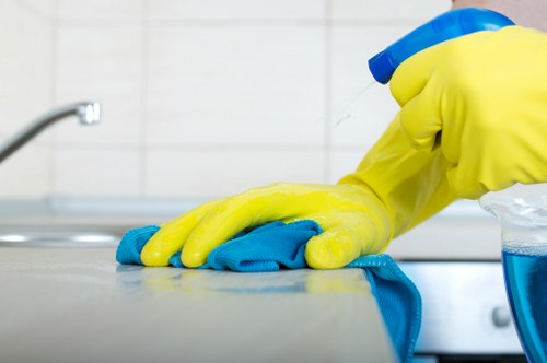 Bathroom cleaning as part of end of tenancy cleaning in Clapham