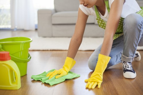 Deep carpet cleaning process in a Clapham property